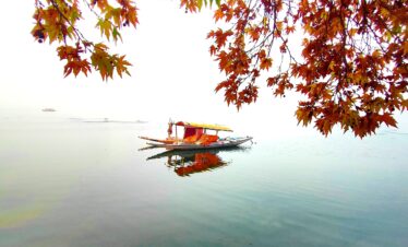 Heavenly Kashmir