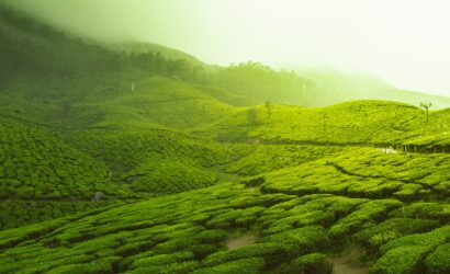 coorg-ooty-mysore-tour-package