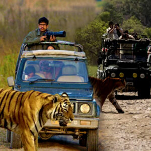 jim-corbett-tour-package