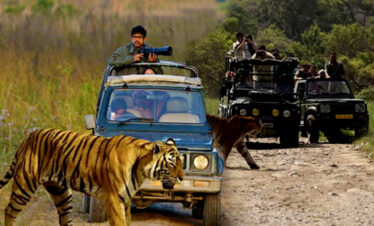 jim-corbett-tour-package
