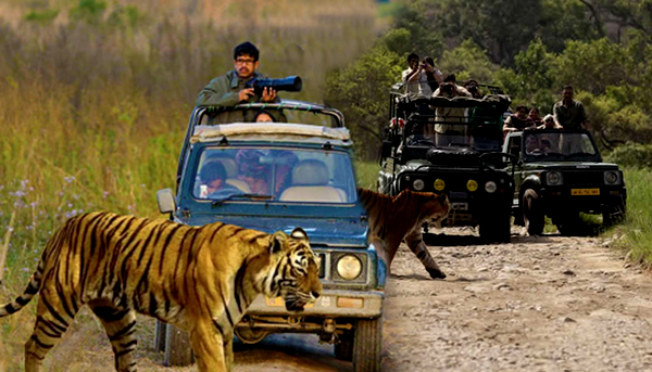 jim-corbett-tour-package